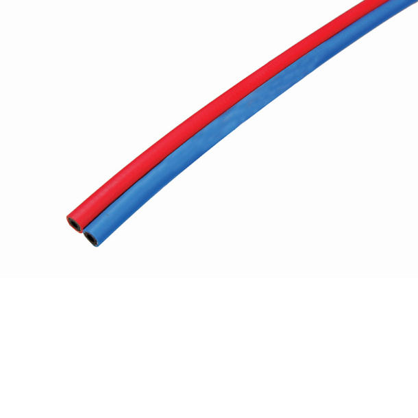 493.jpg