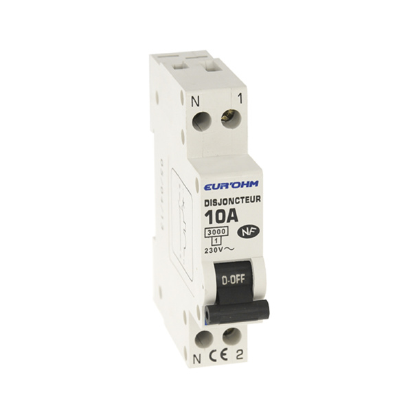 Z109010.JPG